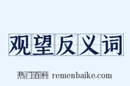 观望反义词是什么意思的图片